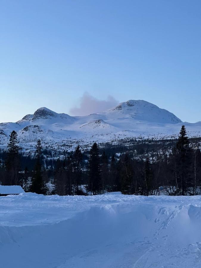 Brand New Cabin On The Sunny Side Of Gaustatoppen With A Great View Tuddal Extérieur photo