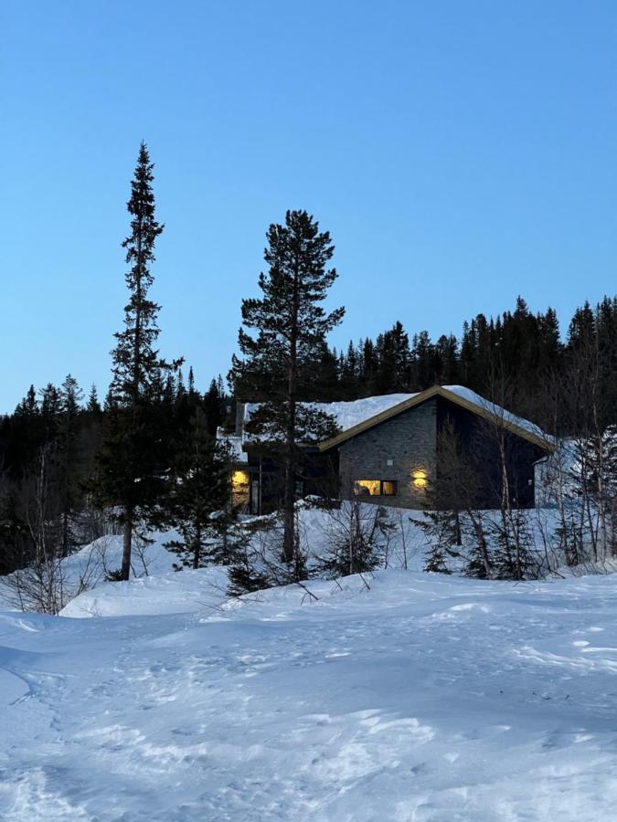 Brand New Cabin On The Sunny Side Of Gaustatoppen With A Great View Tuddal Extérieur photo