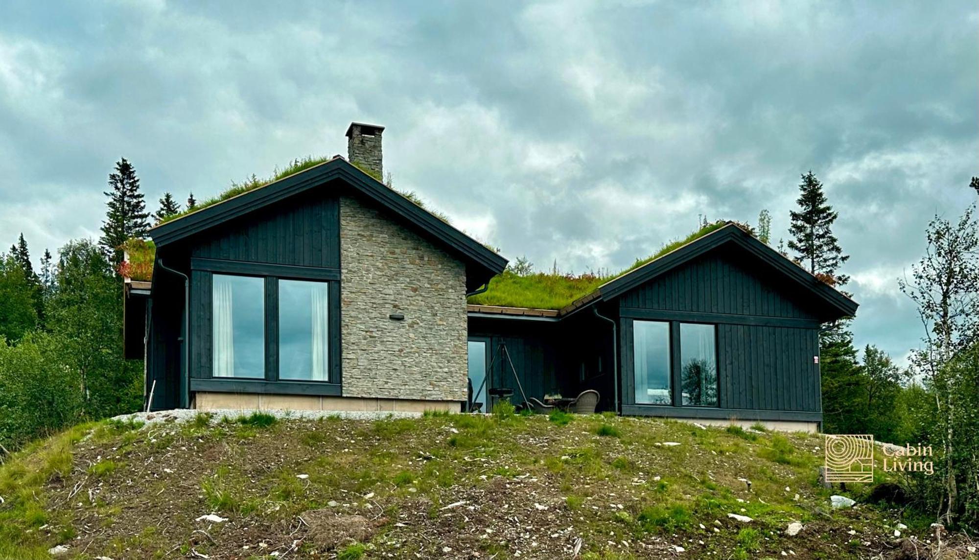 Brand New Cabin On The Sunny Side Of Gaustatoppen With A Great View Tuddal Extérieur photo