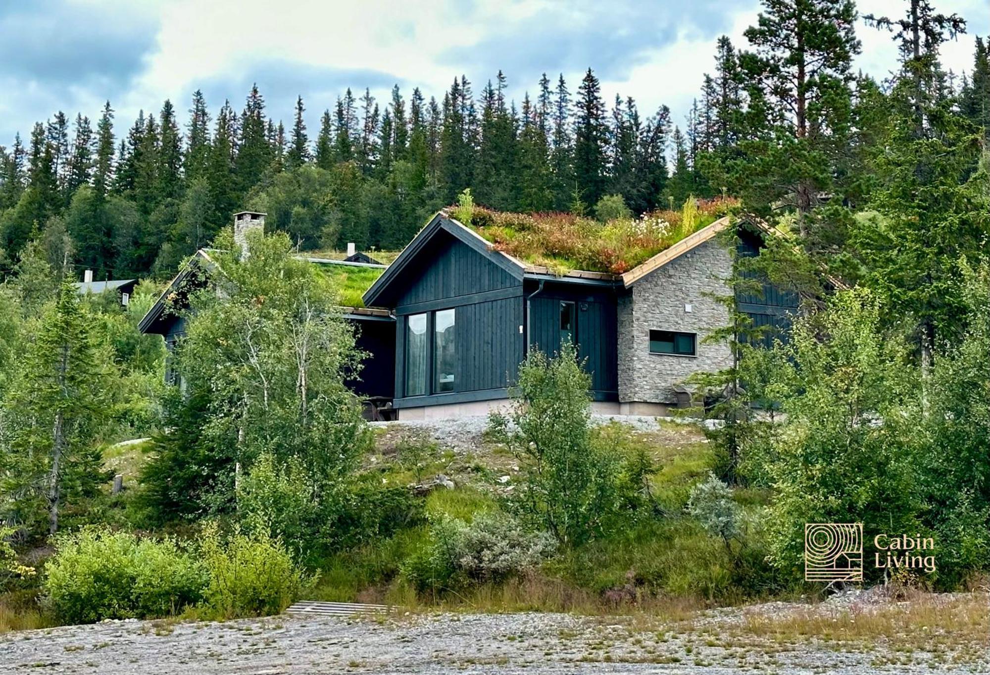 Brand New Cabin On The Sunny Side Of Gaustatoppen With A Great View Tuddal Extérieur photo